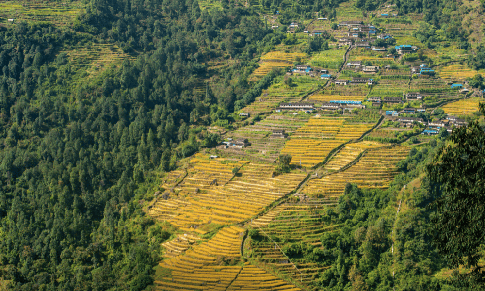 trekking in nepal