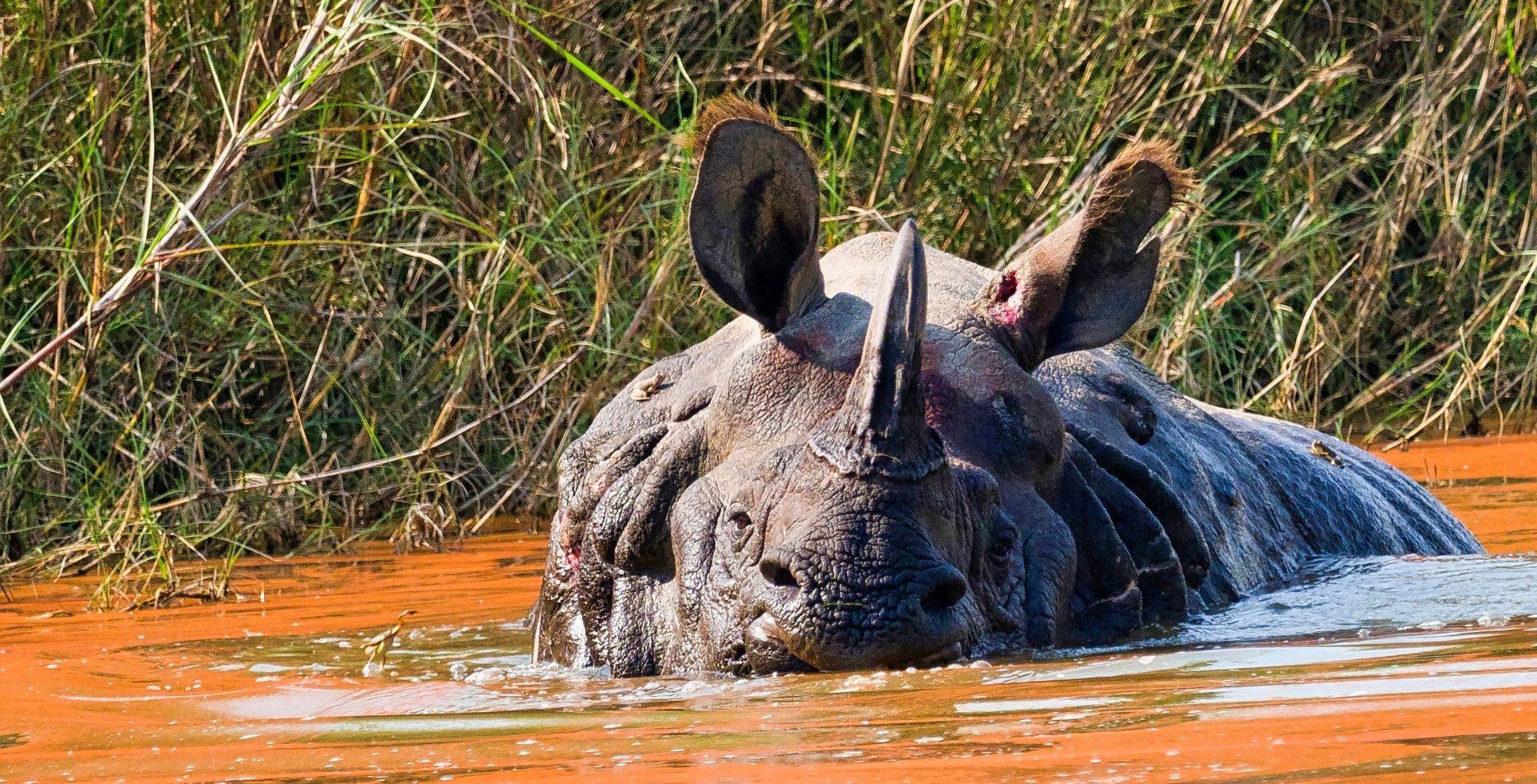 Bardiya National Park