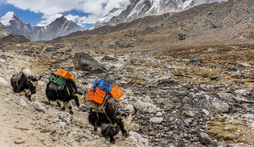 Lobuche
