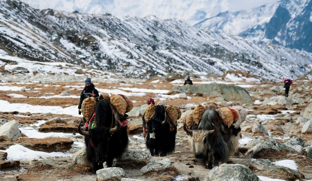 Everest trek difficulty