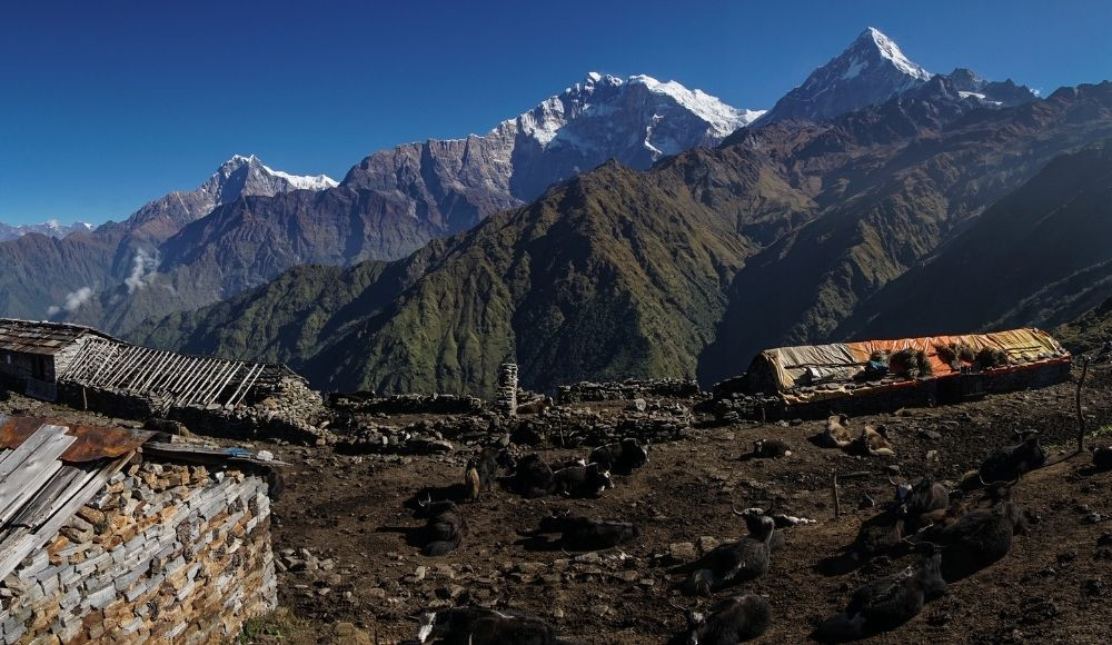 Khopra danda trek