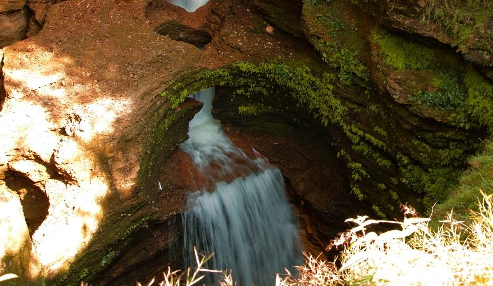 Davis falls