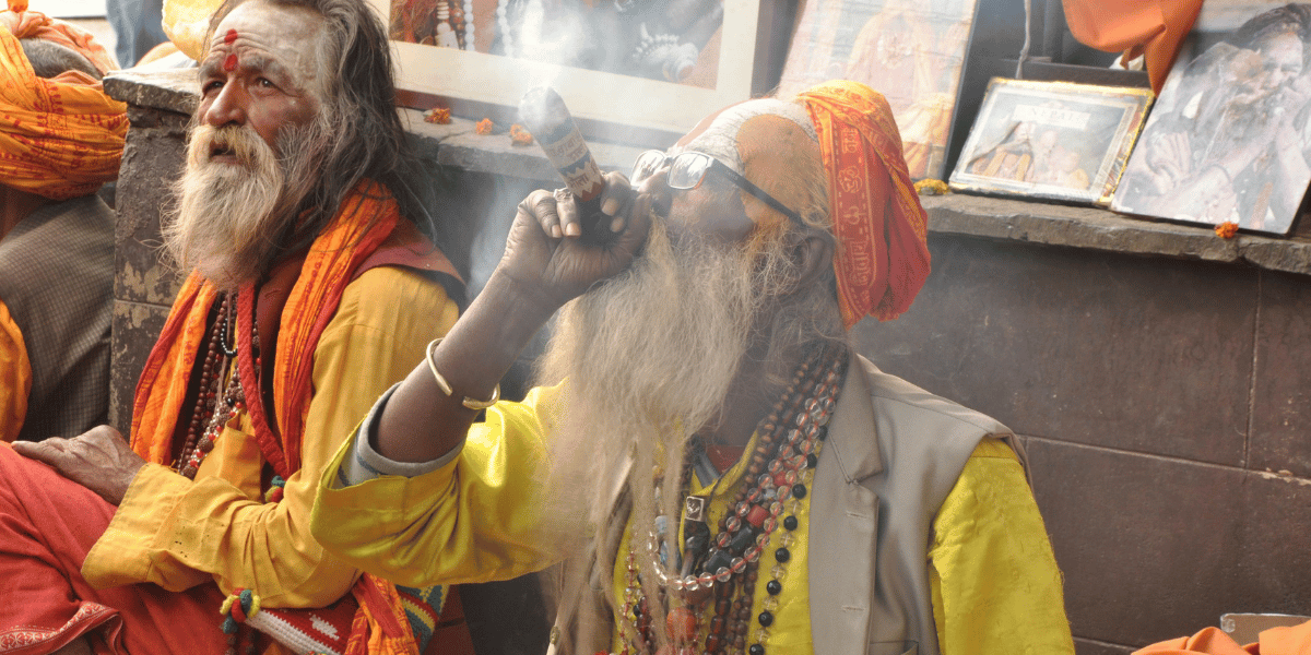 Sadhus Smoking Weed during Maha Shivaratri