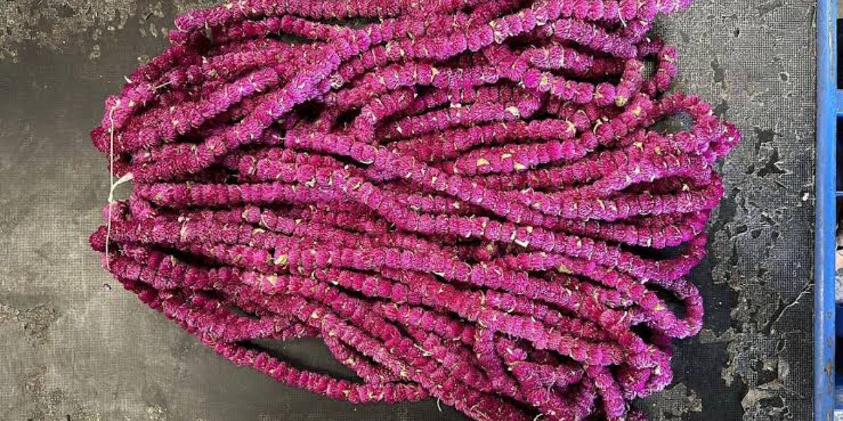 Makhamali Flower Garland