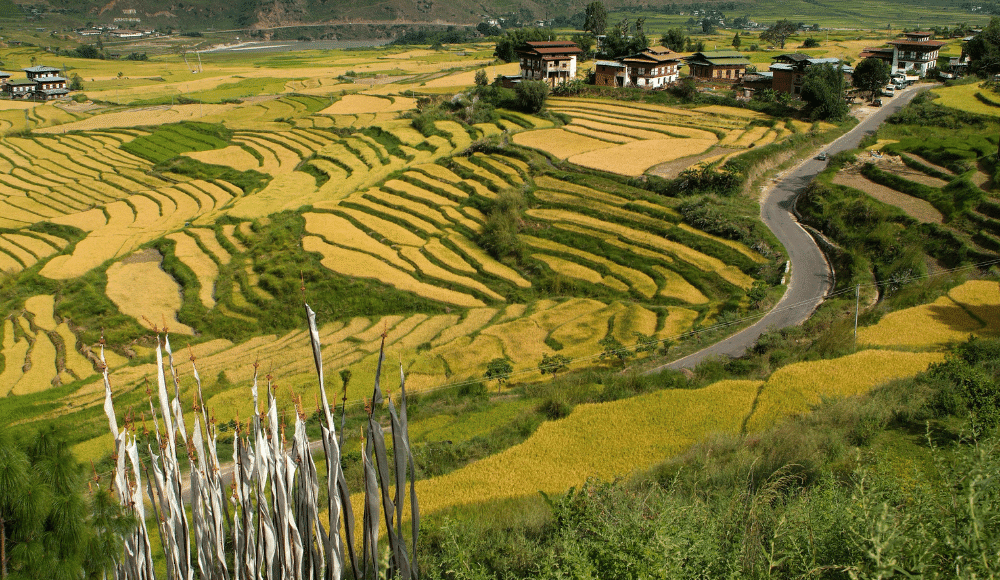 autumn season in bhutan