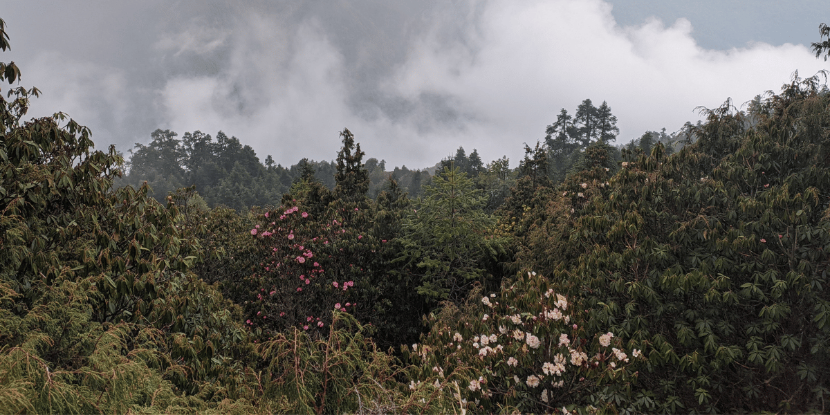 Langtang Valley Trek in May