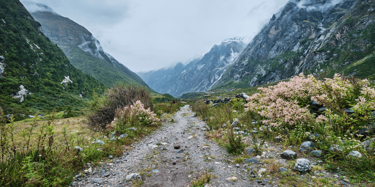Langtang Valley Trek in Monsoon