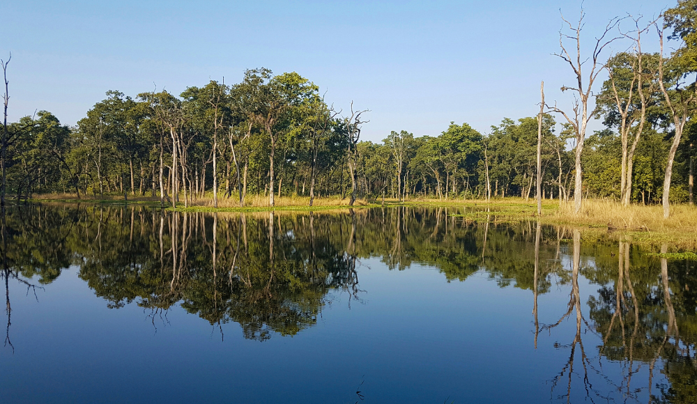 Chitwan National park
