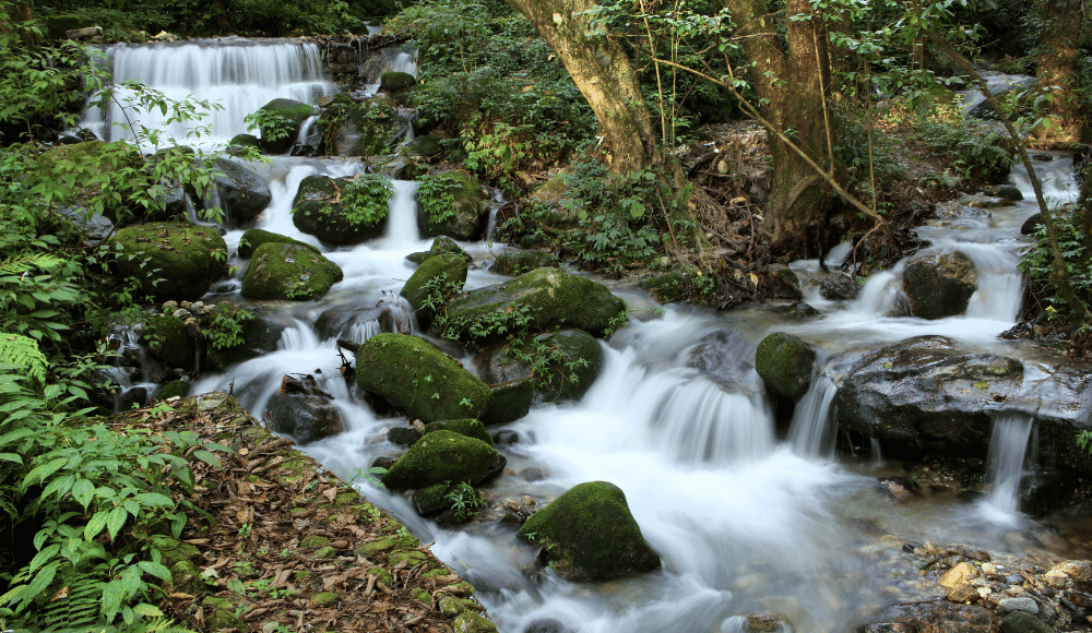 Shivapuri nagarjuna national park