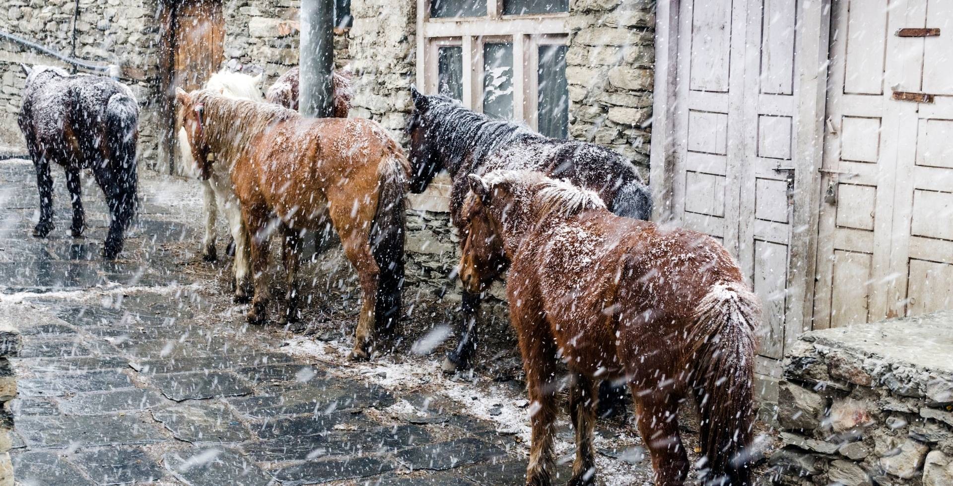 snowfall places in Nepal