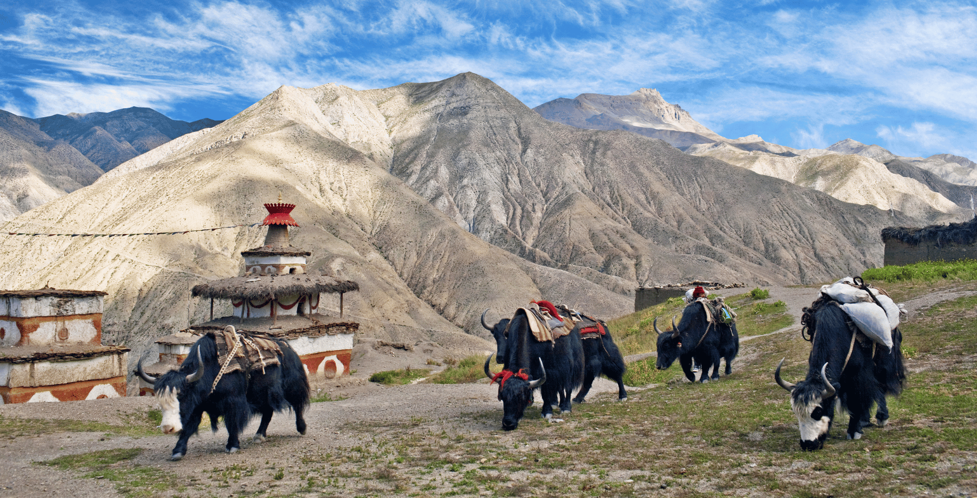 Unique experiences in Nepal