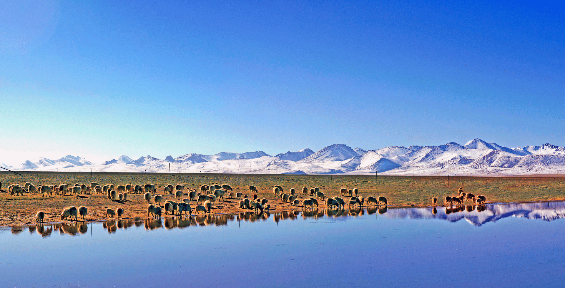 Best Time to Visit Tibet