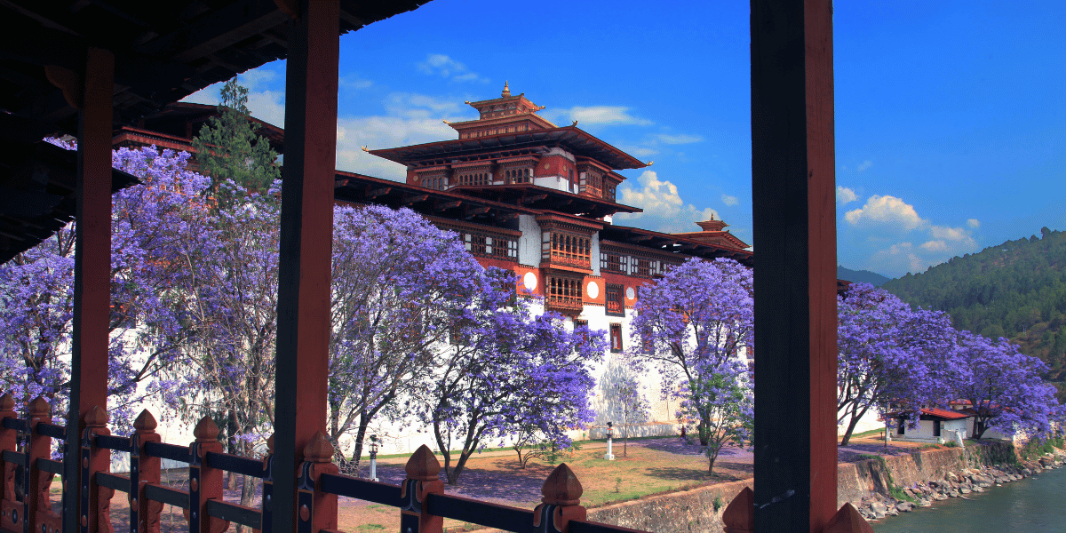 Spring Season in Tibet