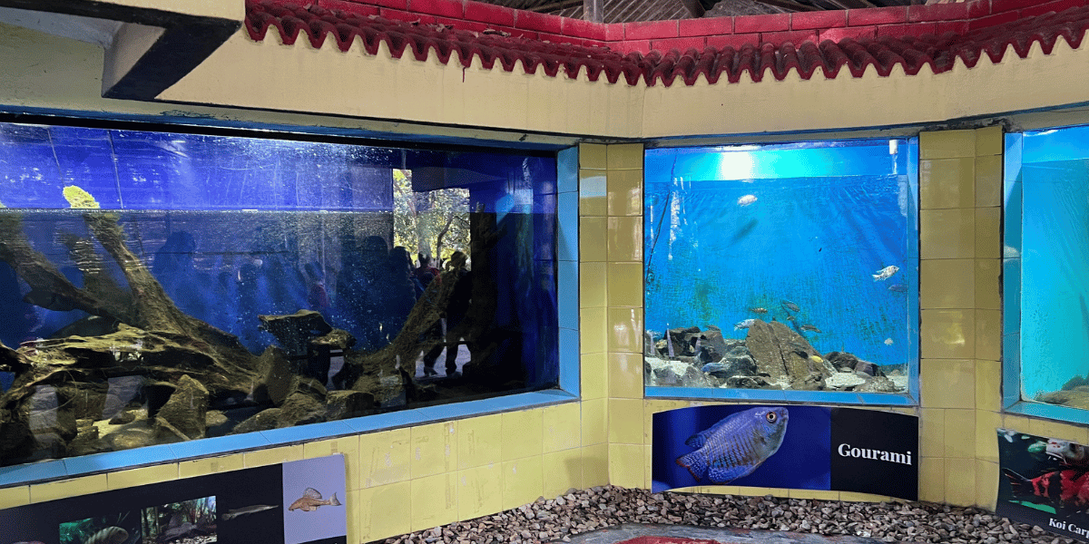 Aquatic Animals in Central Zoo Nepal