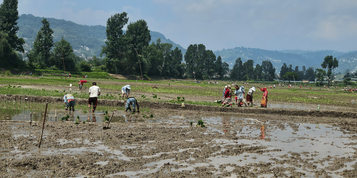 Livelihood of People of Changunarayan