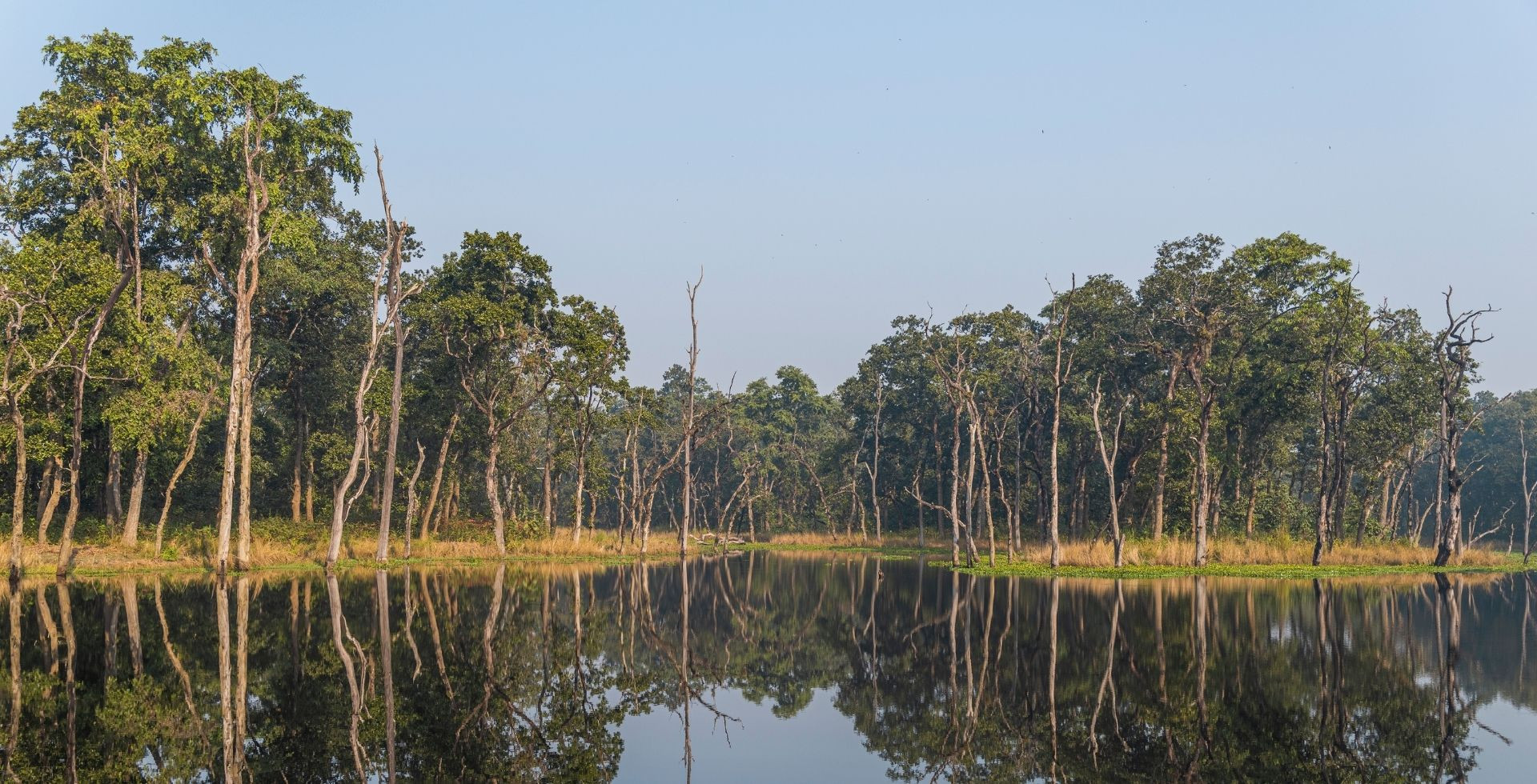 Chitwan National Park