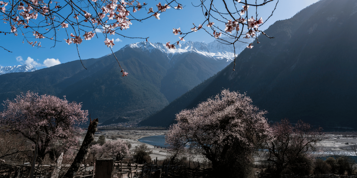 Best Time to Visit Tibet