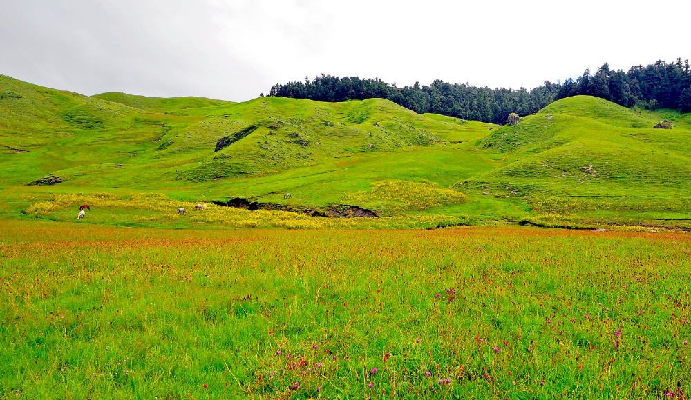 Bajhang