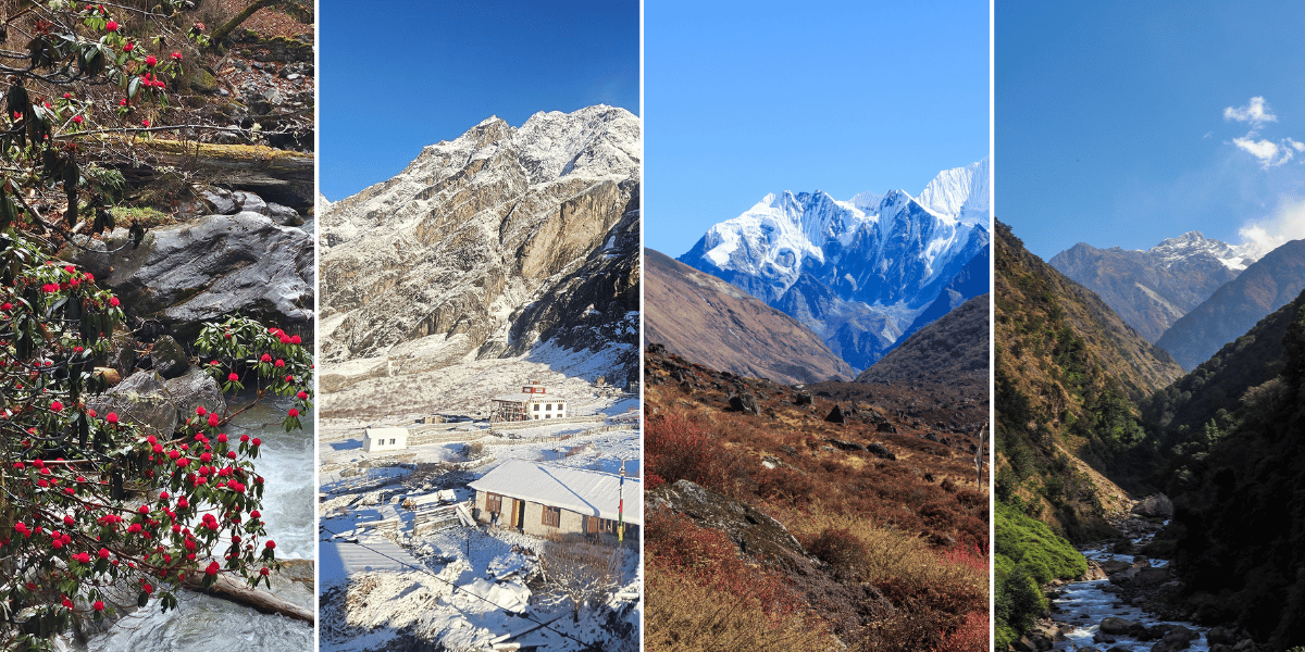 Best Time to Visit Langtang National Park