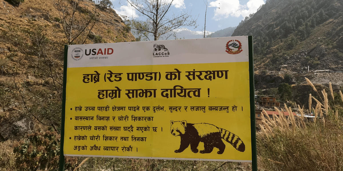 Langtang National Park Conservation Efforts