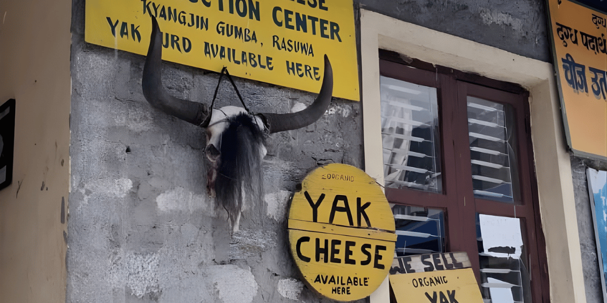 Animal Skul in Langtang