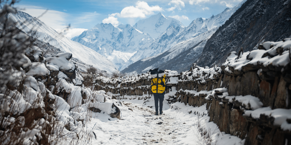 Porter in Langtang