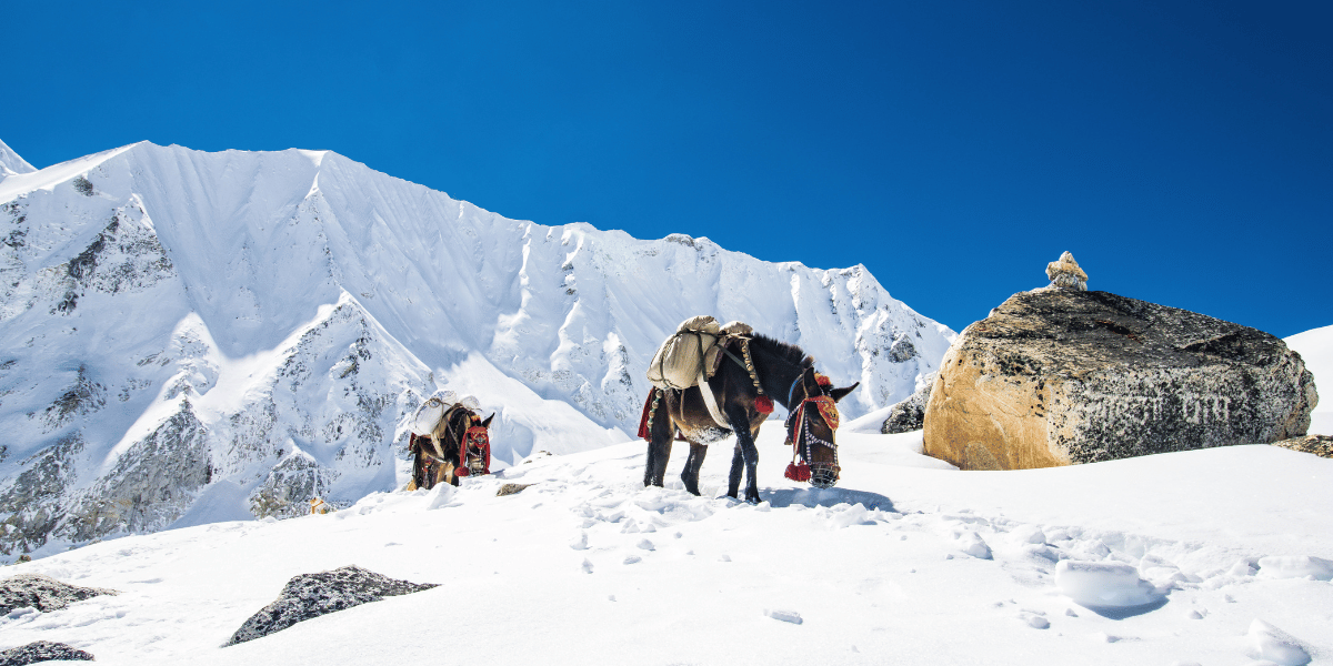 Responsible Tourism