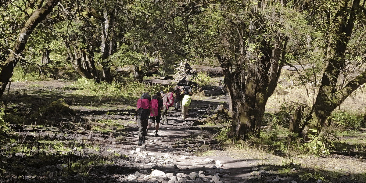 Downhill to Tilche