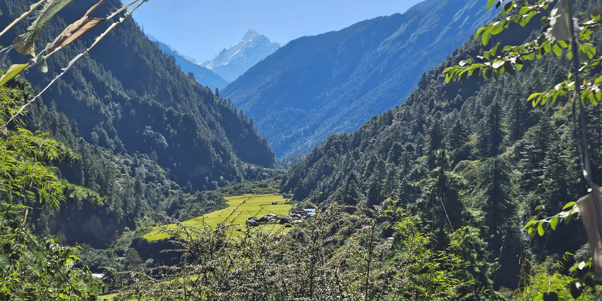 Gapshya to Shyala