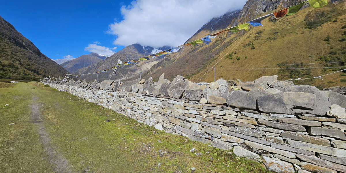 Shyala to Dharmashala