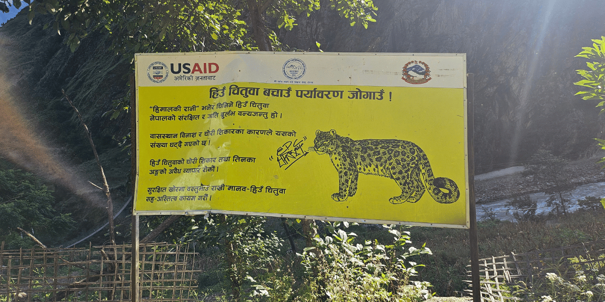 Manaslu Conservation Effort