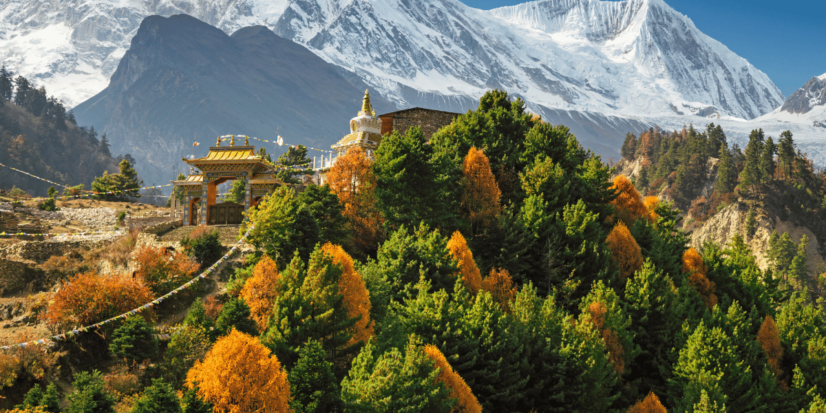 Manaslu Conservation Area Flora