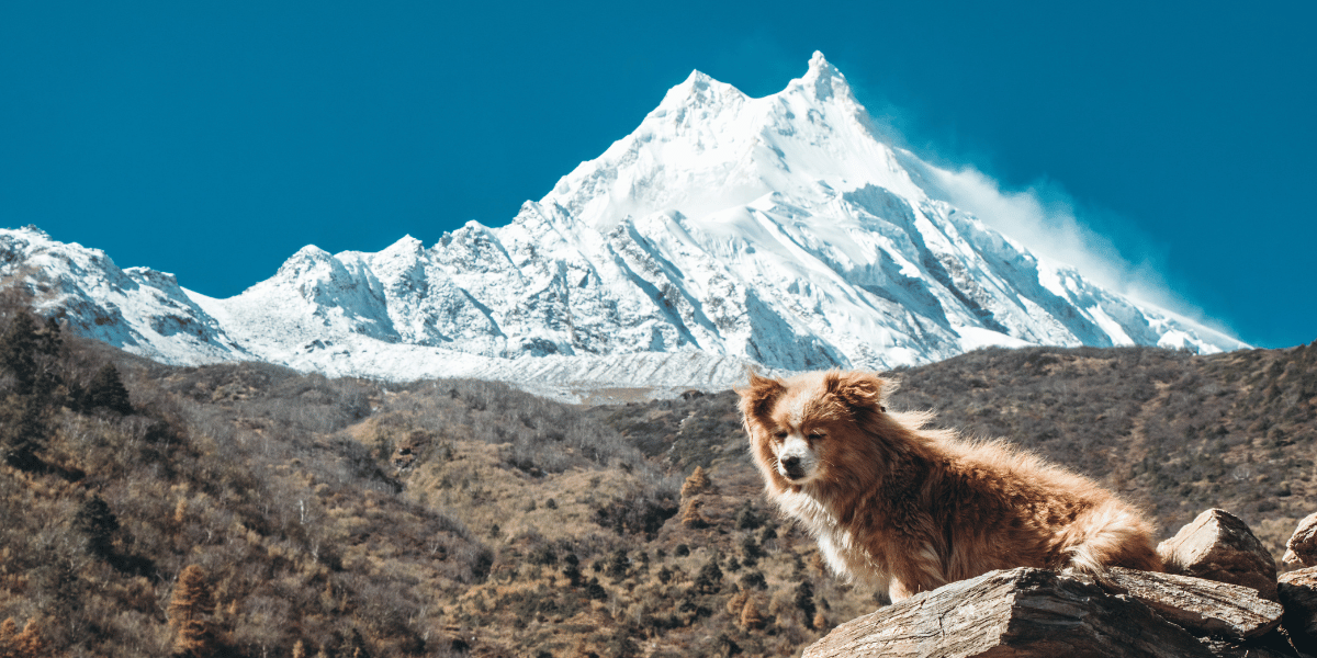Manaslu Circuit Trek Itinerary