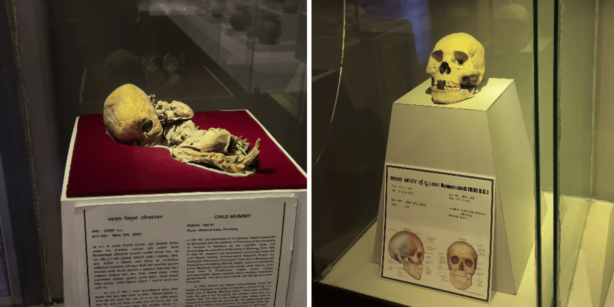 Baby Mummy and Human Skull