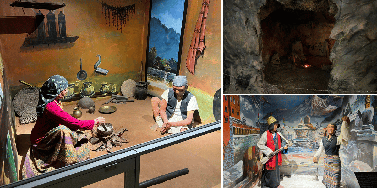 Ethnological Section