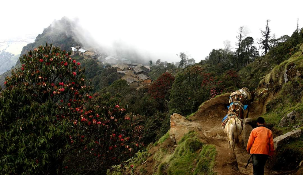 Taplejung Nepal