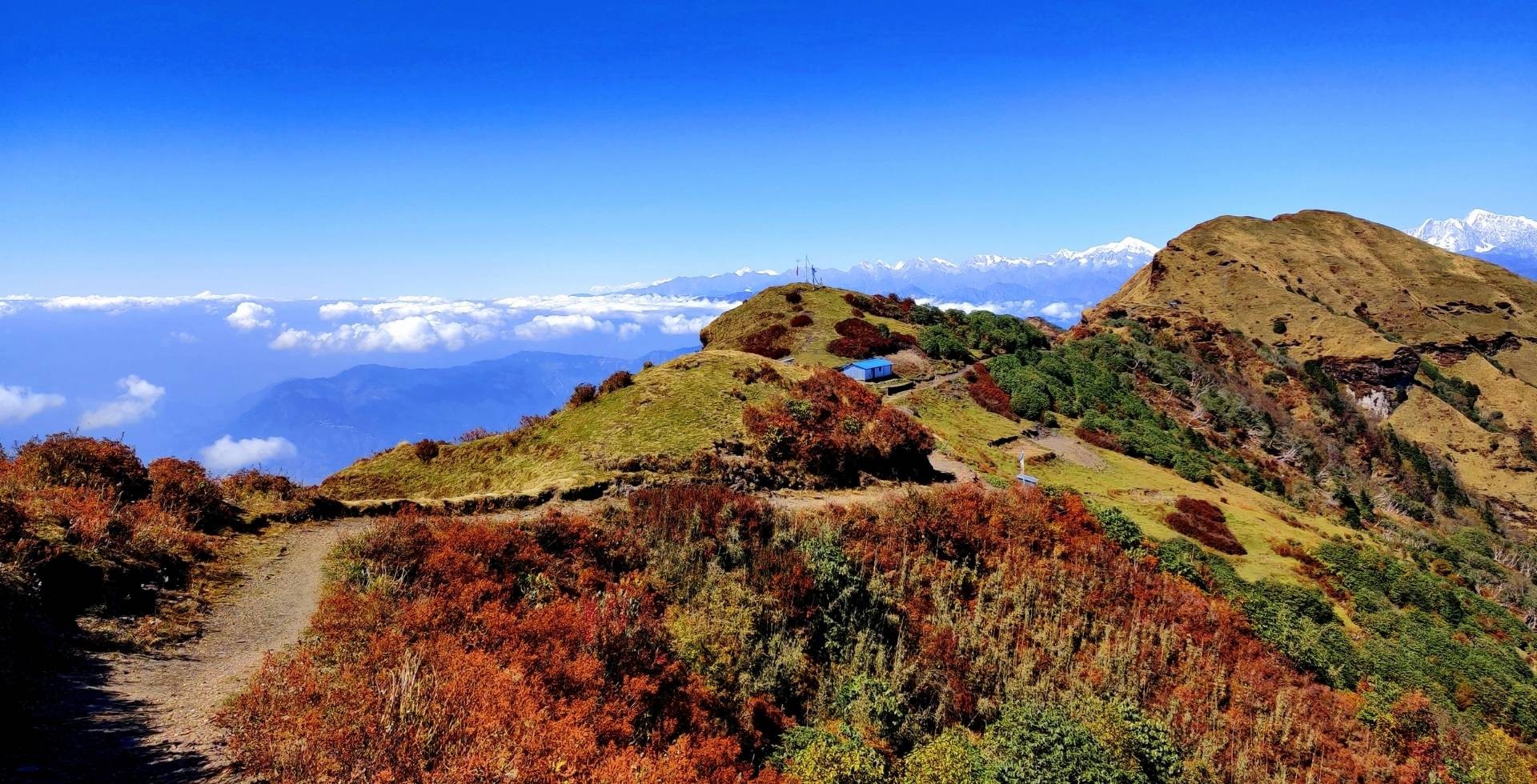 Best season to visit Kalinchowk