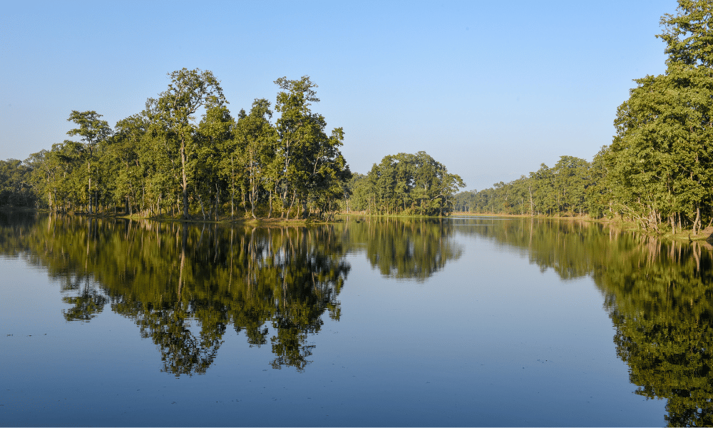 chitwan national park