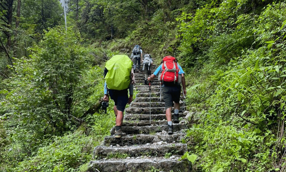 tsho rolpa lake trek nepal