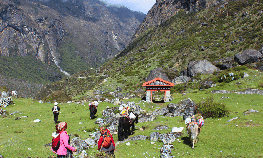 tsho rolpa lake nepal