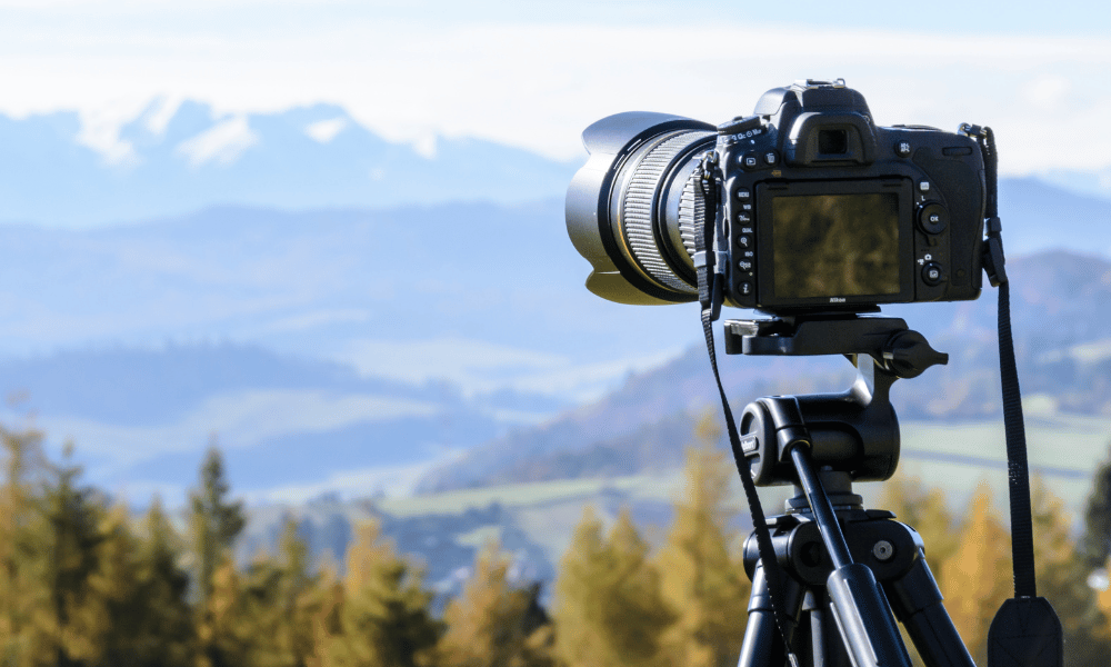 bird watching nepal