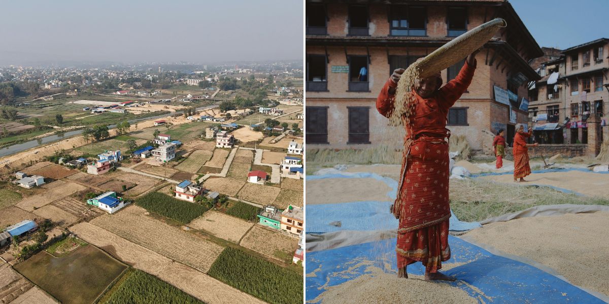 Agriculture in Bhaktapur