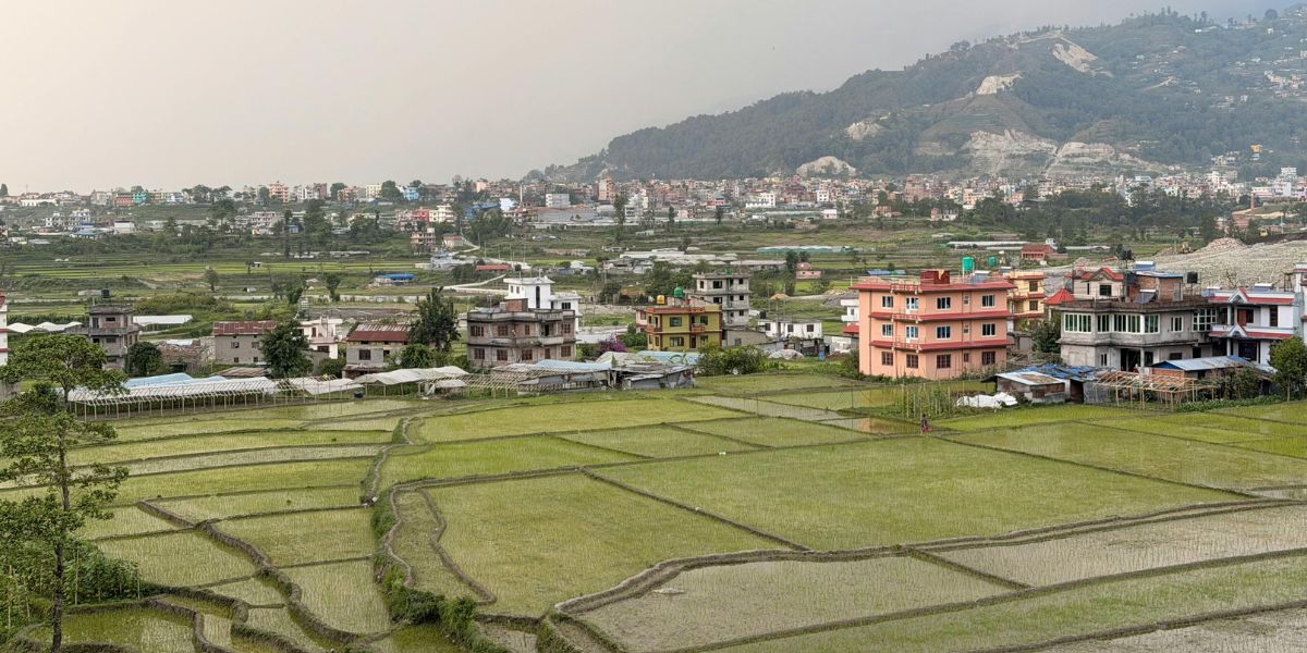 Rich Lakebed Soil of Bhaktapur
