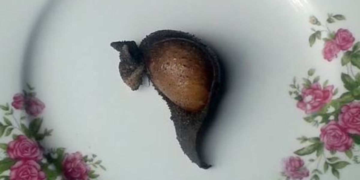Sapu Mhicha