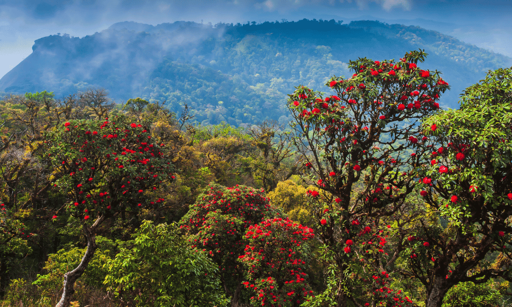 best time to visit nepal