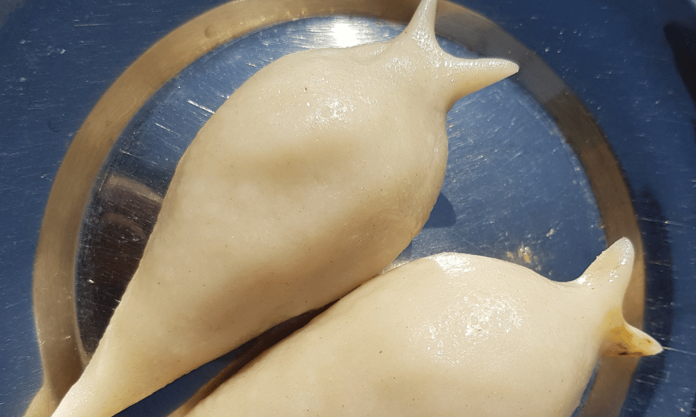 unique nepali foods
