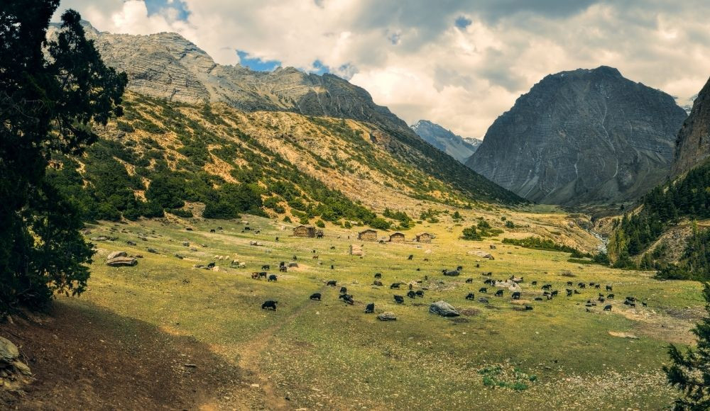 Dolpo