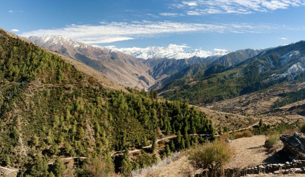 Dunai