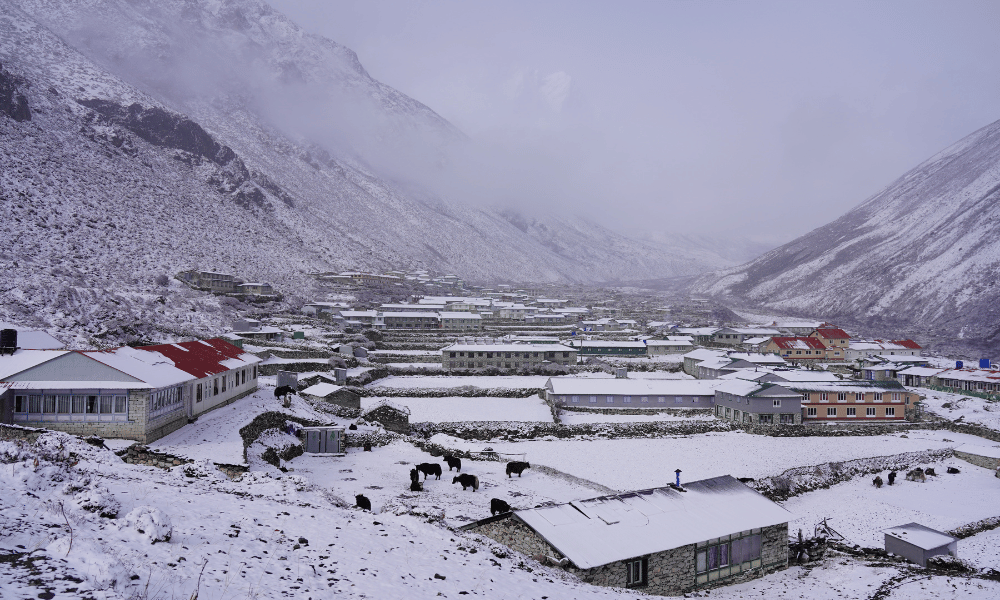 everest frequently asked questions