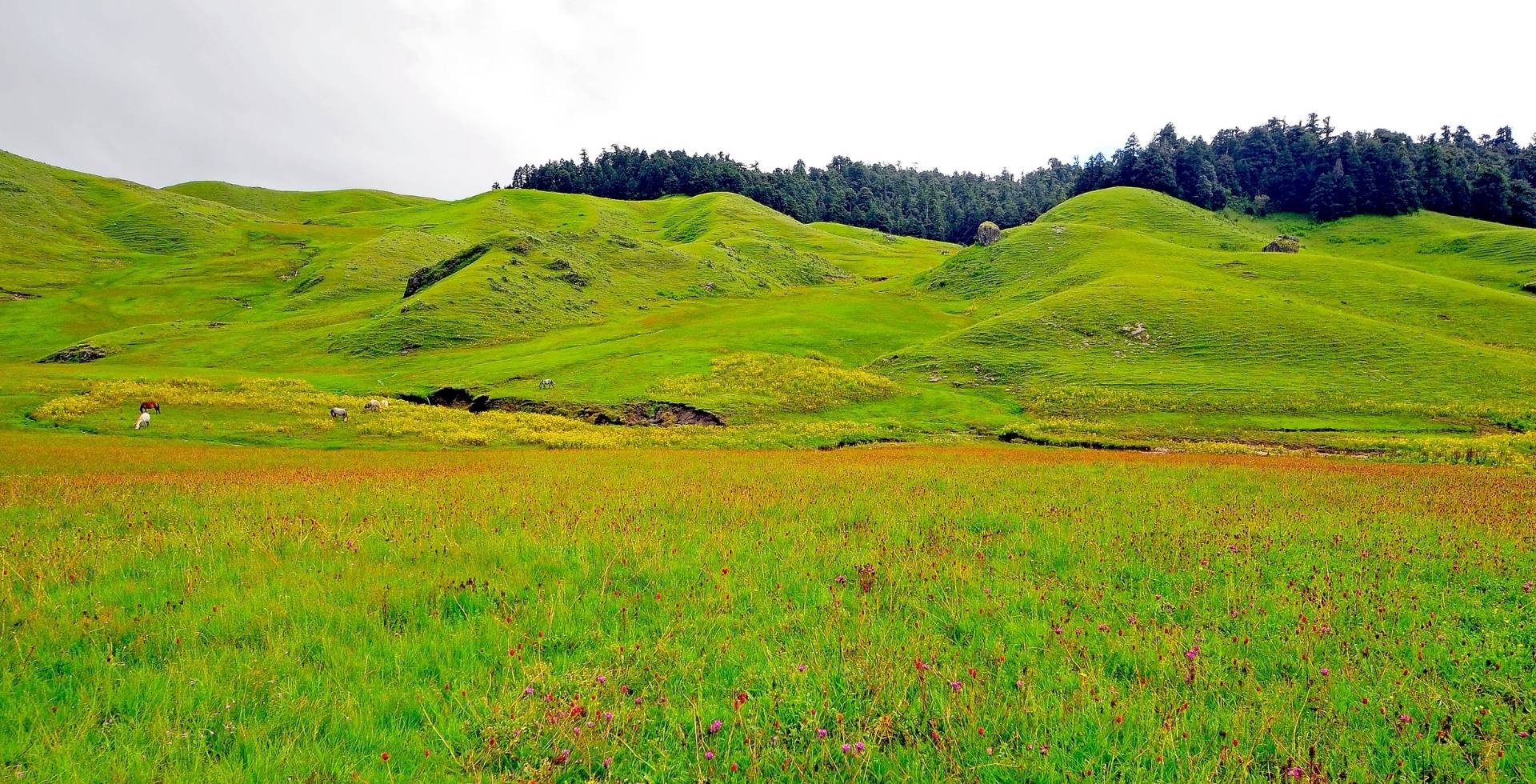 Western Nepal